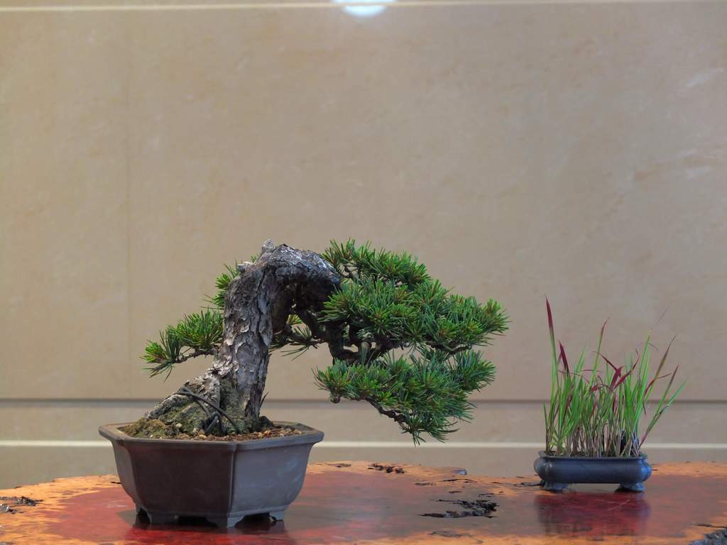 DSCF6177.jpg