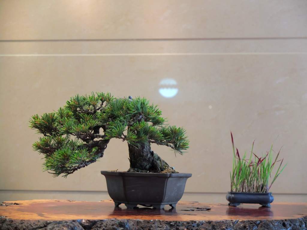 DSCF6200.jpg