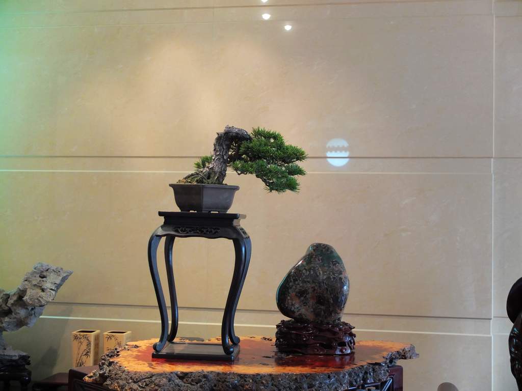 DSCF6211.jpg