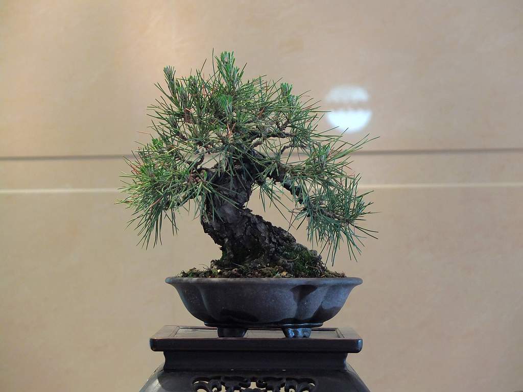 DSCF6248.jpg