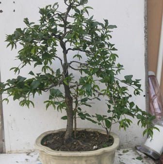 20130502630.jpg