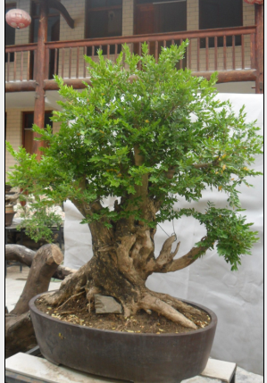 QQͼ20130503150905.png