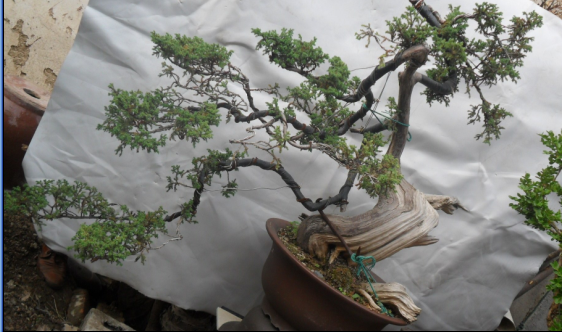 QQͼ20130503150938.png