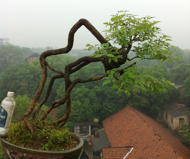 Ƭ 062.jpg