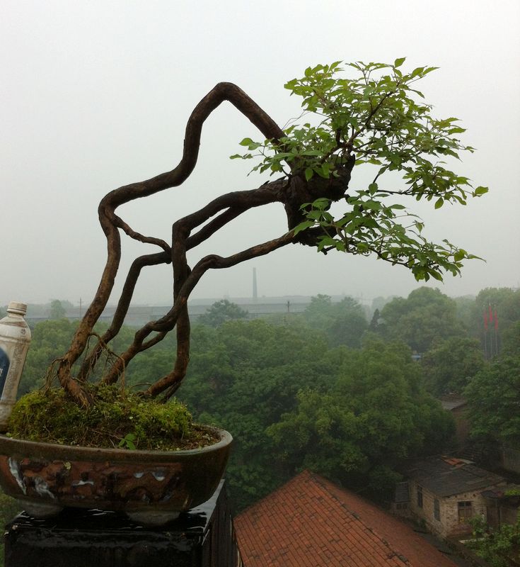 Ƭ 060.jpg