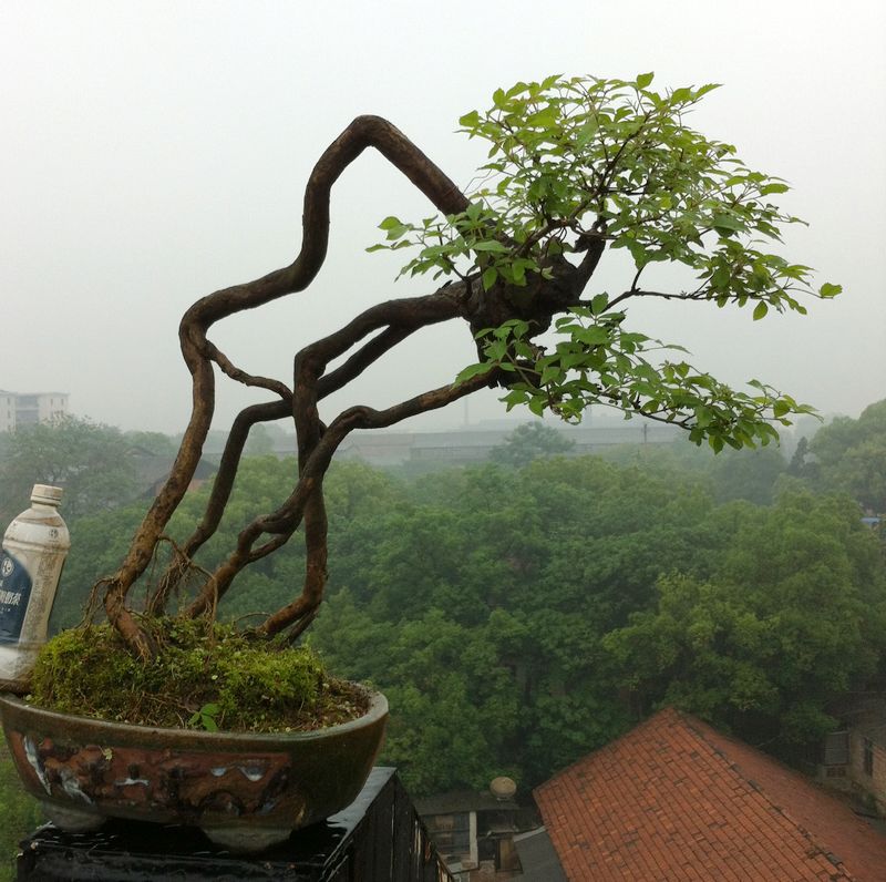 Ƭ 061.jpg