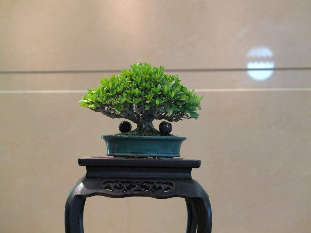 DSCF6320.jpg