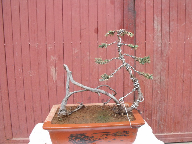 DSCF2628.JPG
