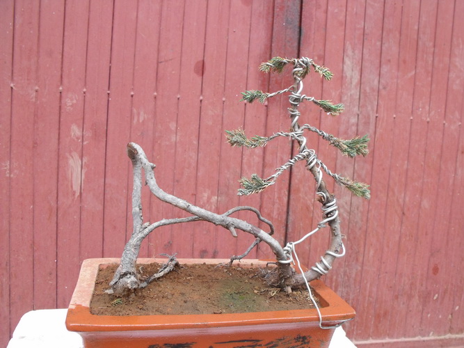 DSCF2629.JPG
