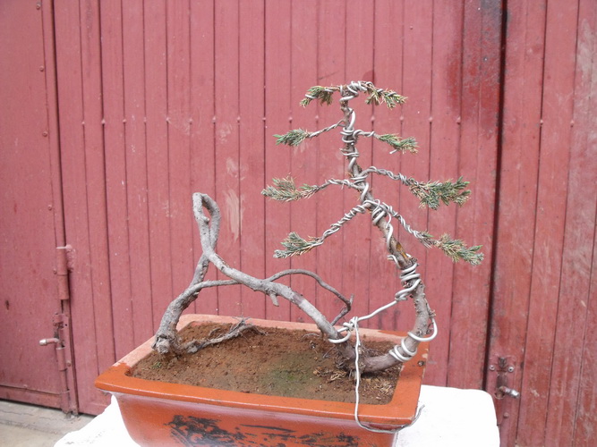 DSCF2630.JPG