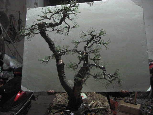 0503 008.jpg