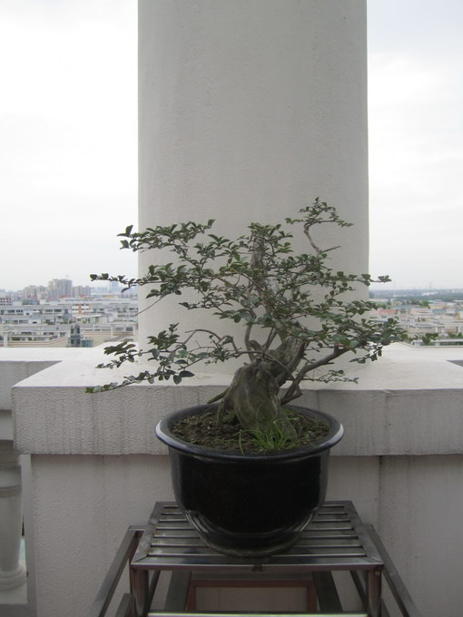 IMG_6707_С.JPG
