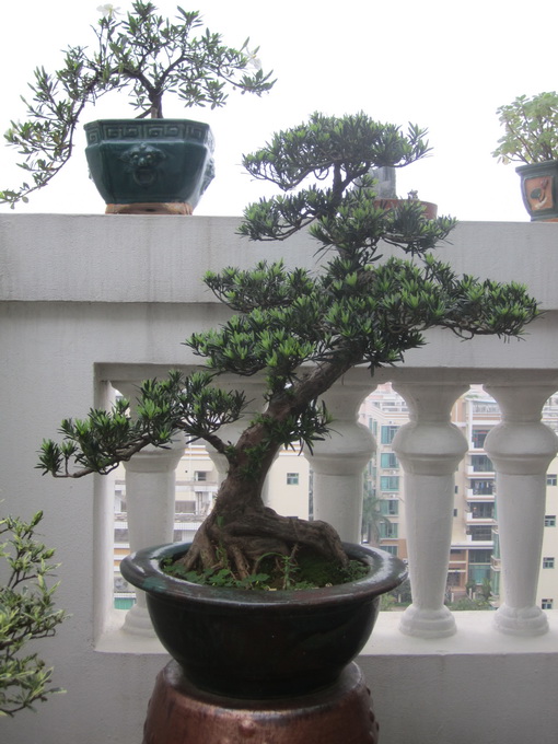ȸ޺1.JPG