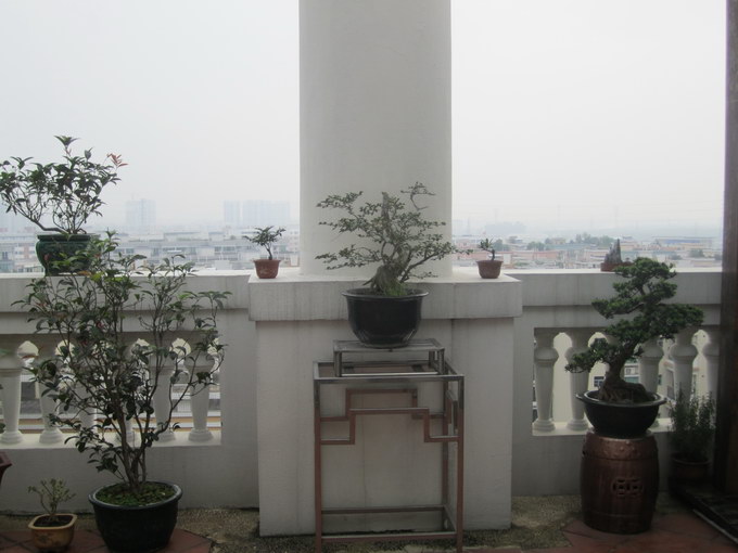 IMG_6840_С.JPG