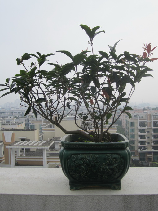 IMG_6848_С.JPG