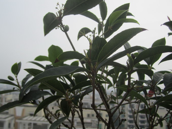 IMG_6849_С.JPG