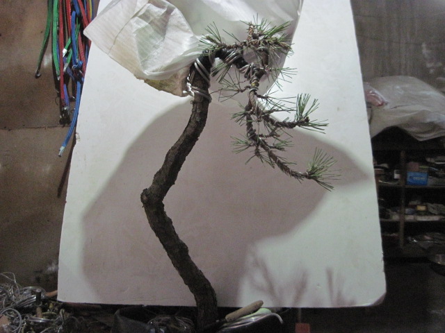 0505���� 010.jpg