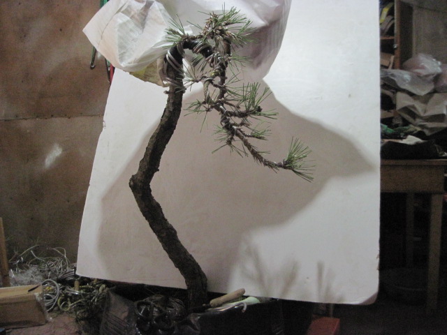 0505���� 011.jpg