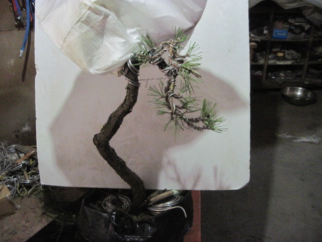 0505���� 012.jpg