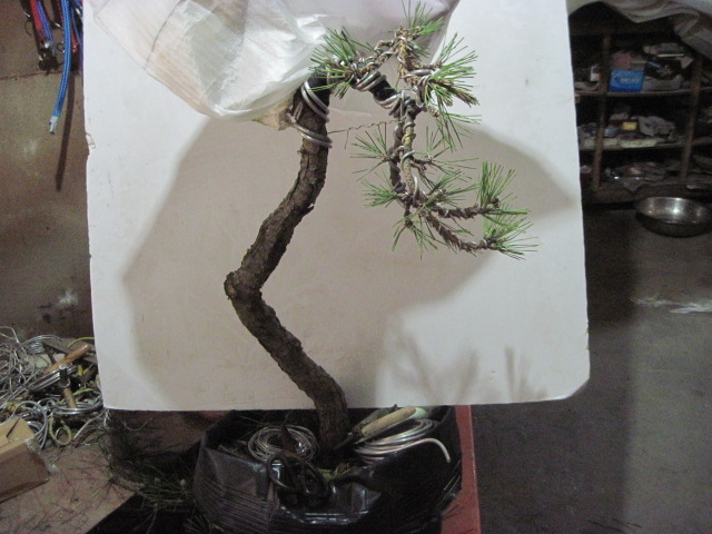 0505���� 013.jpg