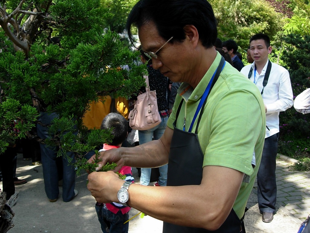 conew_dscn9624.jpg