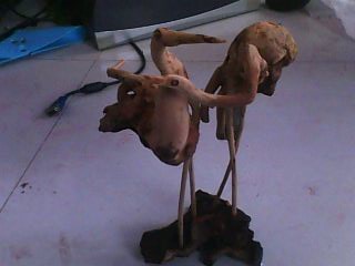 IMG0175A.jpg