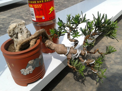 2013-05-02 13.43.46.jpg