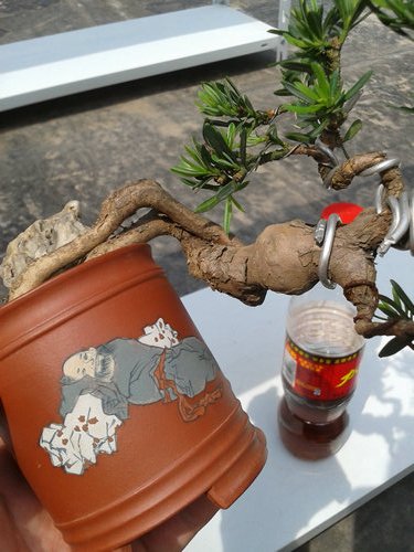 2013-05-02 13.45.27.jpg