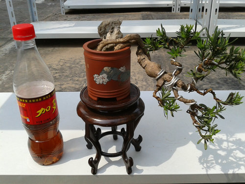 2013-05-02 13.52.48.jpg