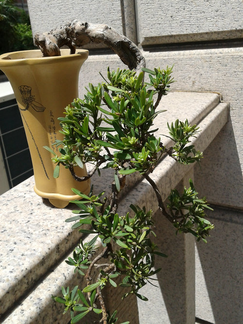 2013-05-01 13.01.24.jpg