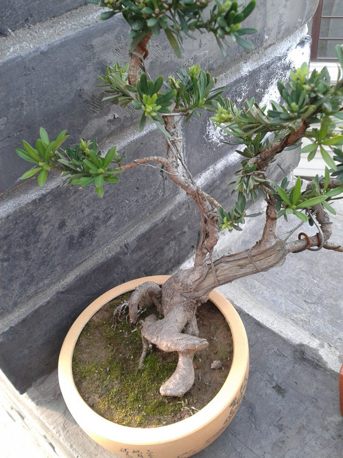 2013-04-21 16.42.29.jpg