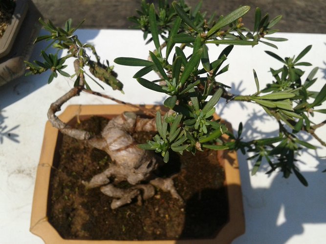 2013-04-28 13.32.18.jpg