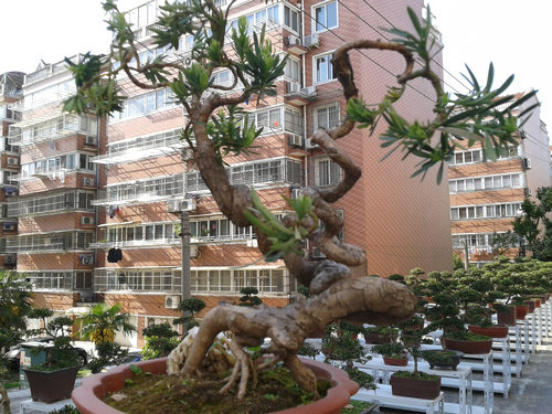 2013-04-30 15.31.10.jpg