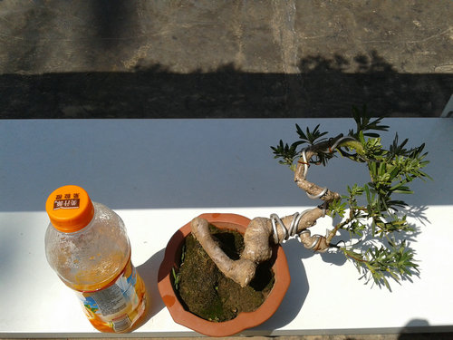 2013-04-26 13.27.23.jpg