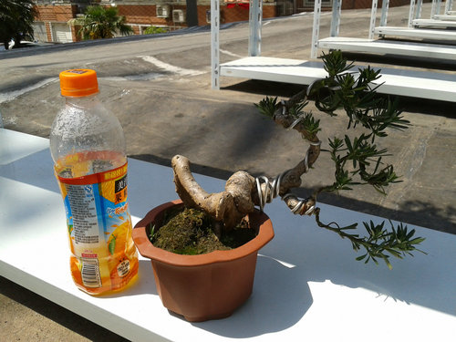 2013-04-26 13.27.44.jpg