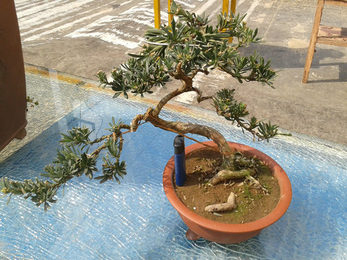 2013-04-06 14.31.40.jpg