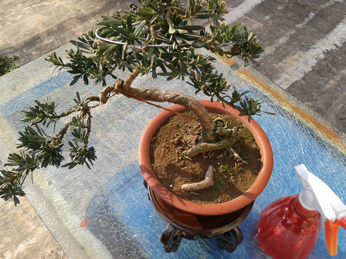 2013-04-06 16.04.34.jpg