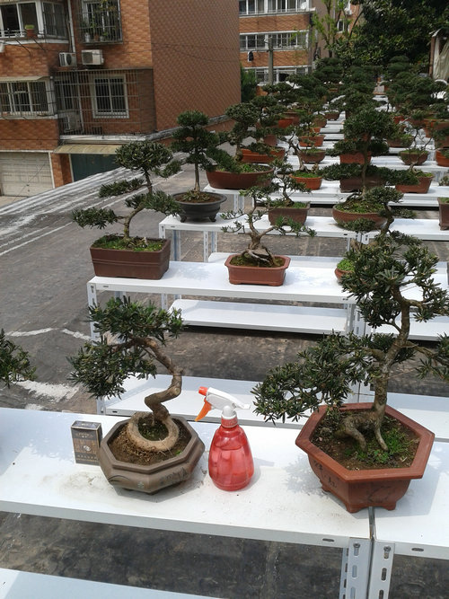 2013-04-21 12.44.50.jpg