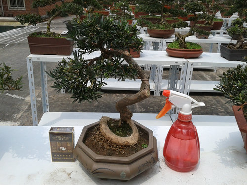 2013-04-21 12.45.06.jpg