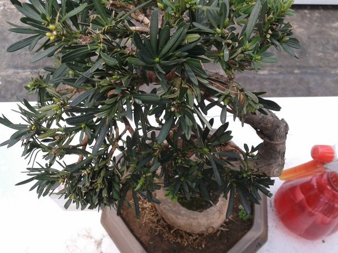 2013-04-21 12.46.15.jpg