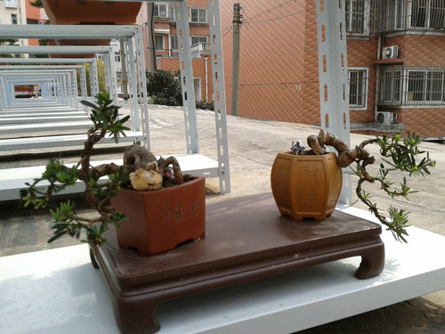 2013-04-18 14.24.00.jpg