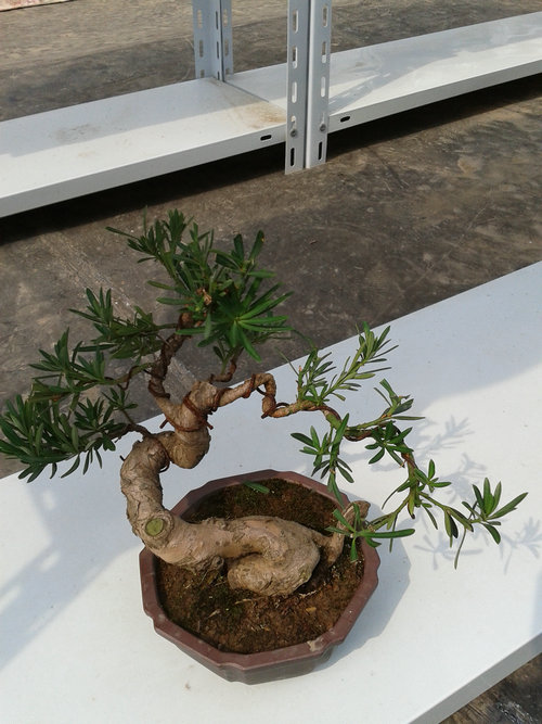 2013-04-18 14.21.50.jpg