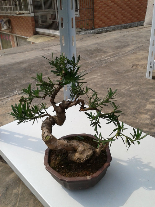 2013-04-18 14.22.02.jpg