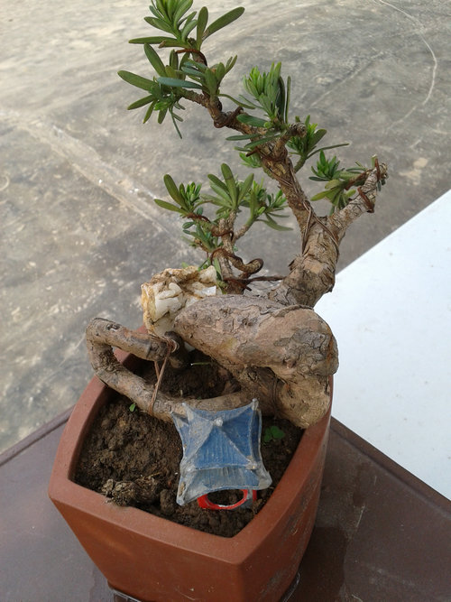 2013-04-18 14.23.35.jpg