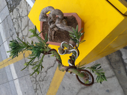 2013-04-20 13.29.08.jpg