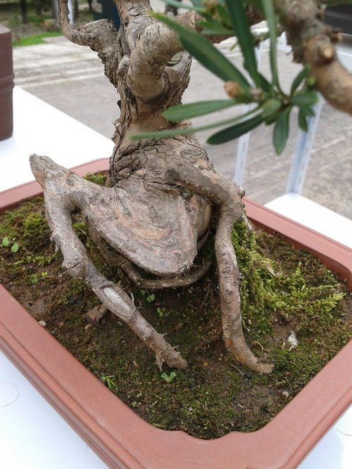 2013-04-18 15.16.26.jpg