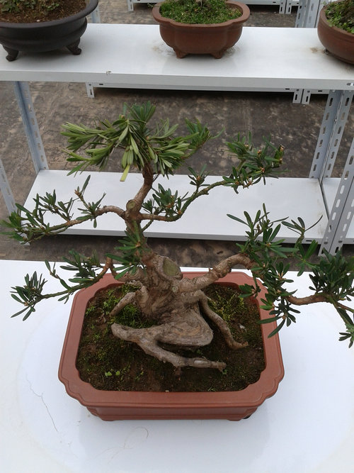 2013-04-18 15.14.24.jpg