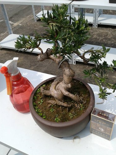 2013-04-21 12.56.21.jpg
