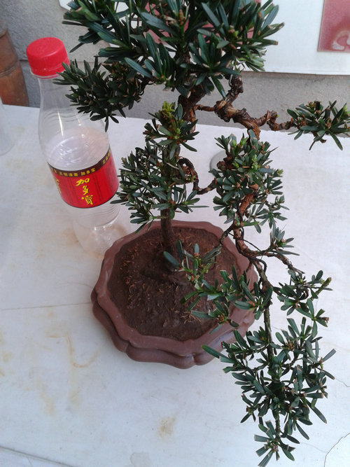2013-04-14 17.47.09.jpg