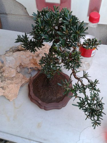 2013-04-14 17.57.02.jpg